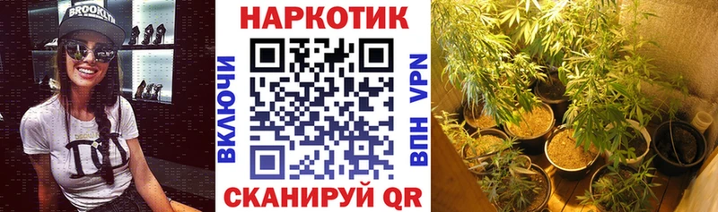 Что такое Химки COCAIN  Псилоцибиновые грибы  Гашиш  А ПВП  Амфетамин  Каннабис  Меф 