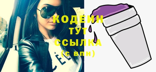 молекула духа Медногорск