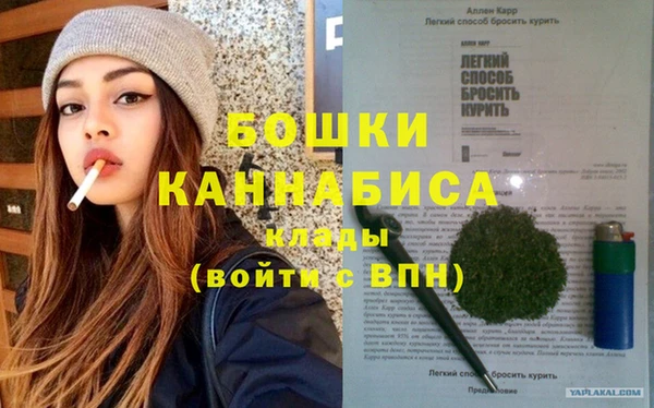 молекула духа Медногорск