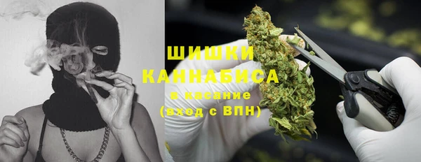 молекула духа Медногорск