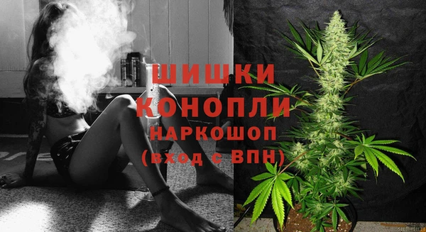 молекула духа Медногорск