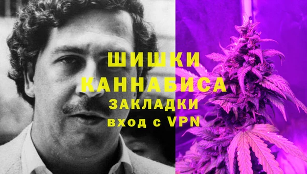 молекула духа Медногорск