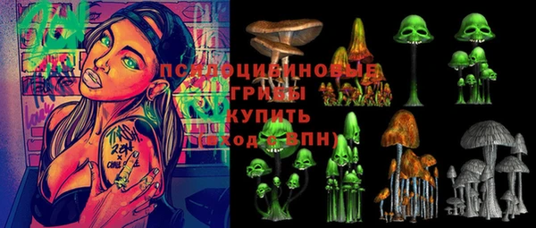 гидропоника Мегион