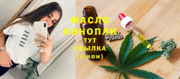 молекула духа Медногорск