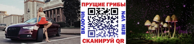 OMG наркошоп Химки Псилоцибиновые грибы ЛСД